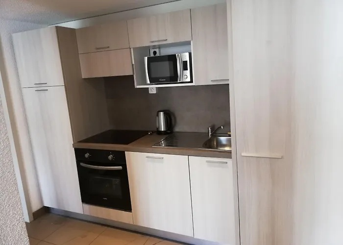 朝圣者公寓式酒店 4* 卢德